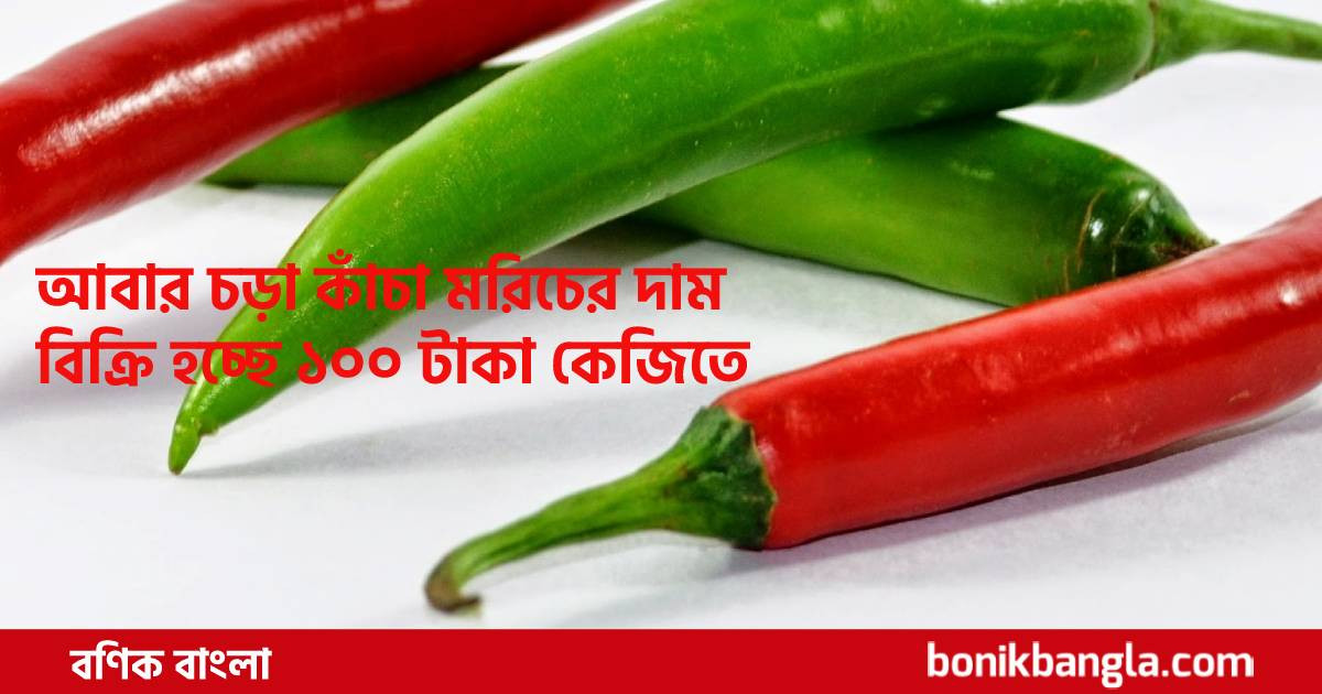 কাঁচা মরিচে দামের ঝাঁঝ!