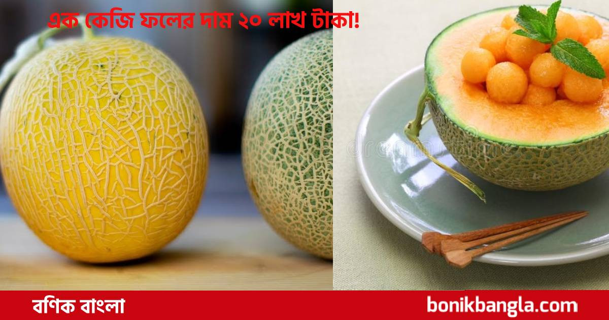 বিশ্বের সবচেয়ে দামি ফল...