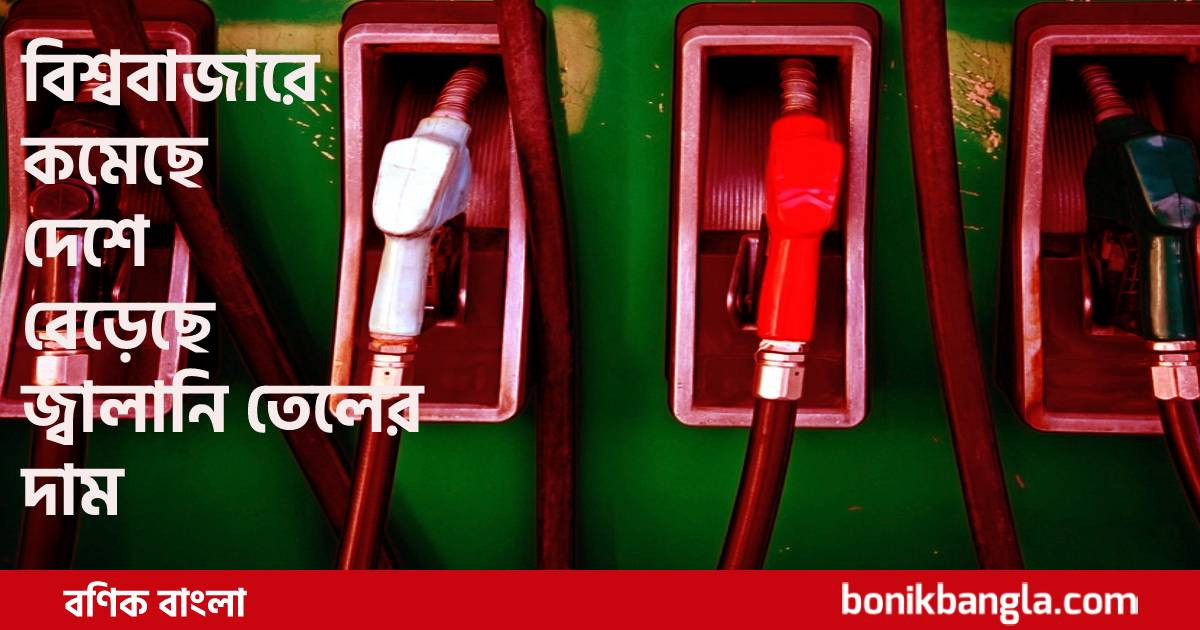 তেলের দাম প্রায় ৫০ শতাংশ বৃদ্ধি...