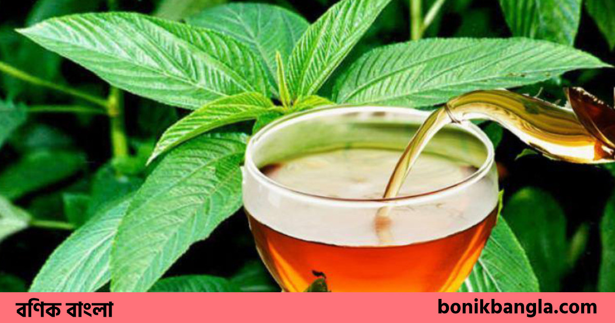 পাটের চায়ের জার্মানযাত্রা