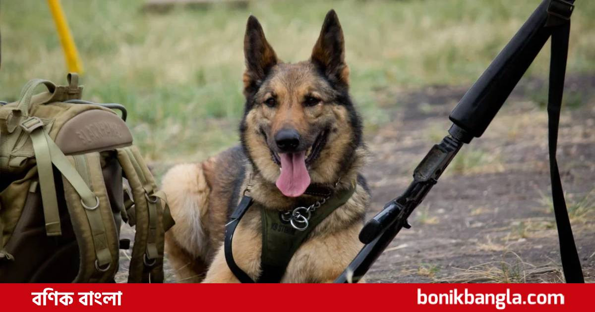 যুক্তরাষ্ট্রের কুকুর পাচ্ছে না মিশর ও জর্ডান