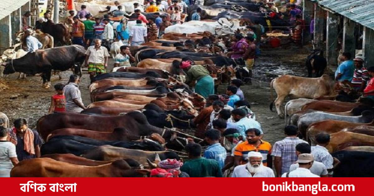 ঢাকা উত্তরে ছয় স্থানে কোরবানির হাট